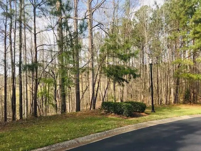 711 Hawks Ridge Drive, Ball Ground, GA 30107 - Image #2