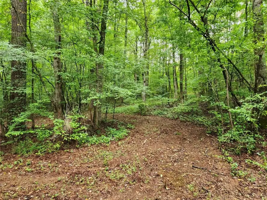 1177 Davis Road, Carrollton, GA 30116 - Image #2