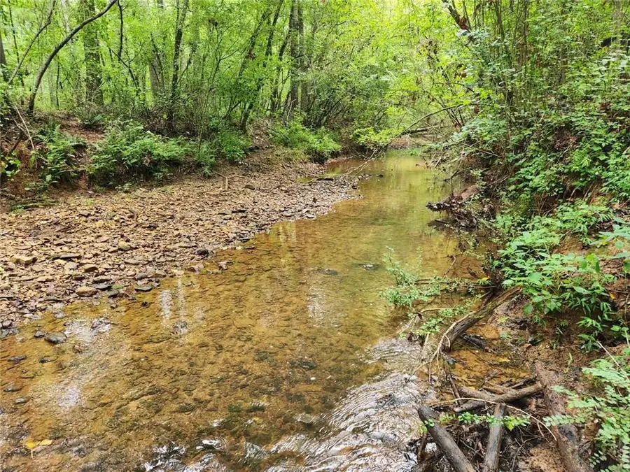 1177 Davis Road, Carrollton, GA 30116 - Image #3