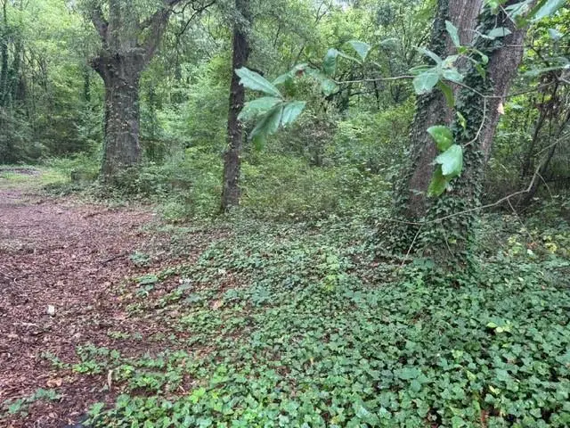 #3