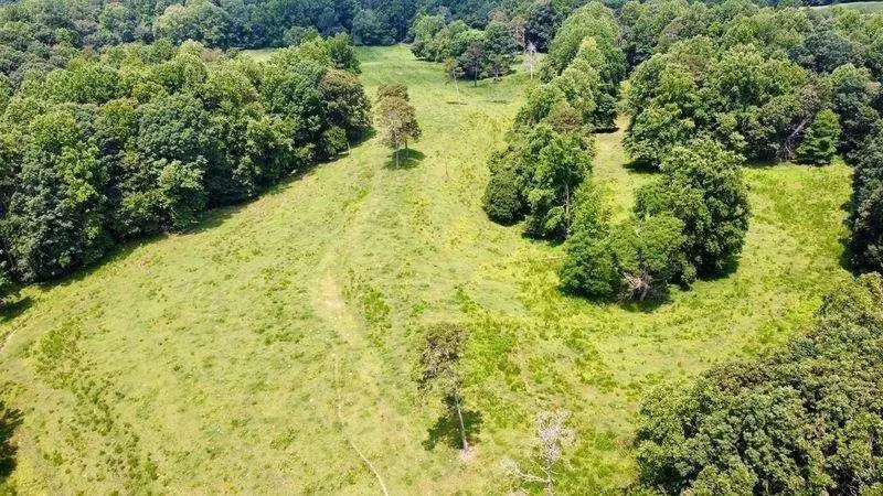 7286 County Line Road, Lula, GA 30554 - Image #2