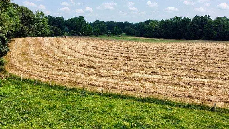 7286 County Line Road, Lula, GA 30554 - Image #3