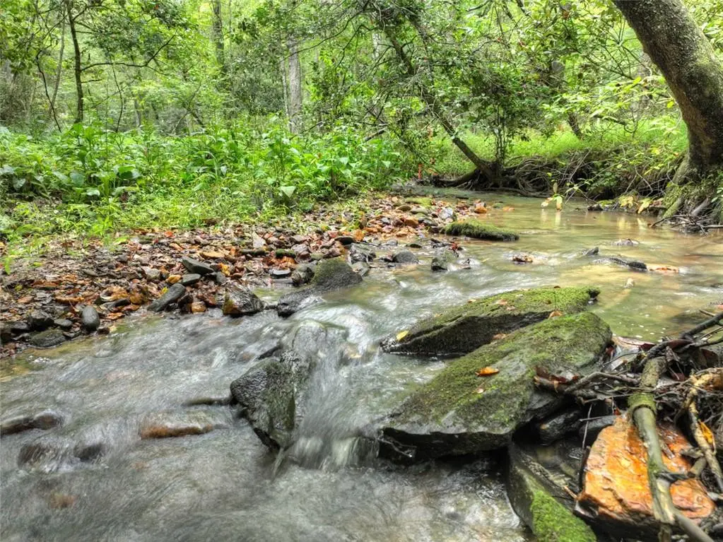 Lot 45 Synacia Drive, Mineral Bluff, GA 30559 - #1