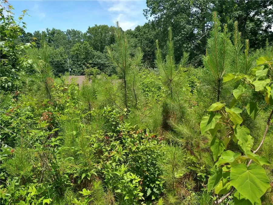 2112 Allgood Road, Marietta, GA 30062 - Image #2