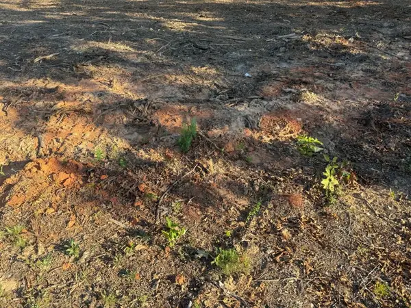 3980 Highway 5, Douglasville, GA 30135