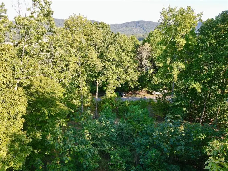 98 Magnolia Ridge, Summerville, GA 30747 - #3