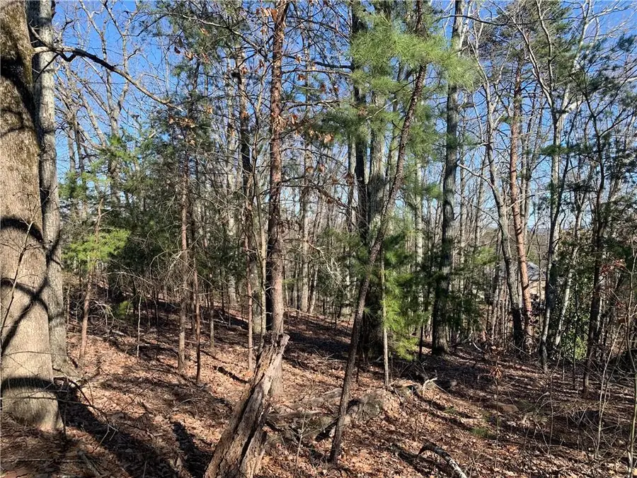 1941 Pine Bluff, Marietta, GA 30062 - Image #3