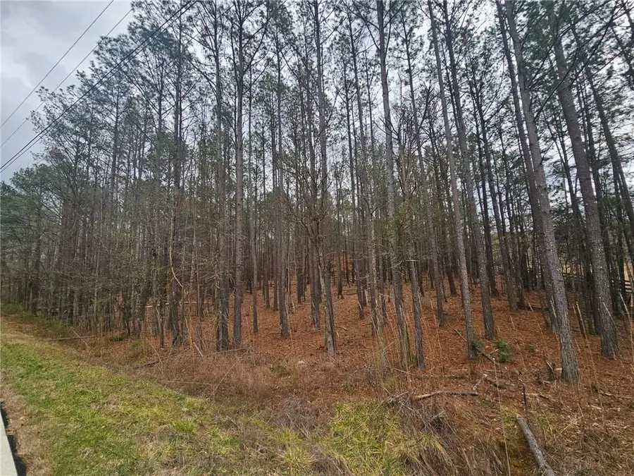 0 Newton Factory Bridge Road, Covington, GA 30014 - #2