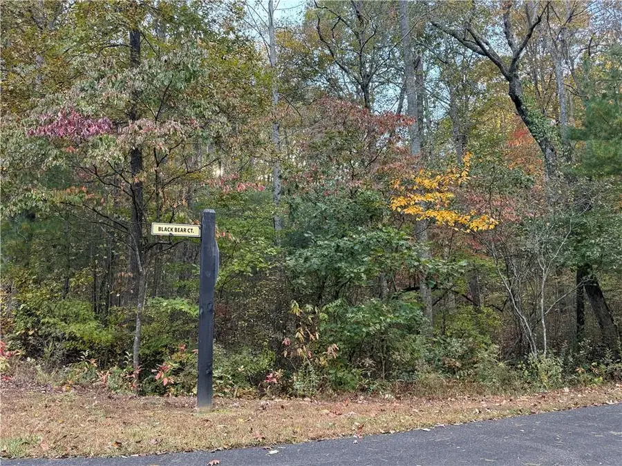 0 Black Bear Court Court, Ellijay, GA 30536 - Image #3
