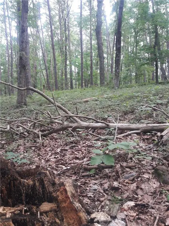 0 Mulberry Circle, Jasper, GA 30143 - Image #3