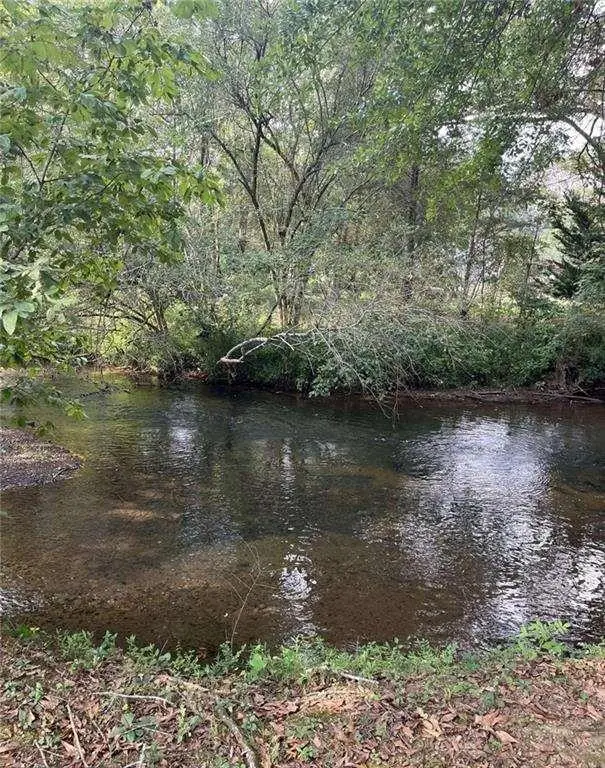 10,12, Park Street, Cave Spring, GA 30124 - Image #3