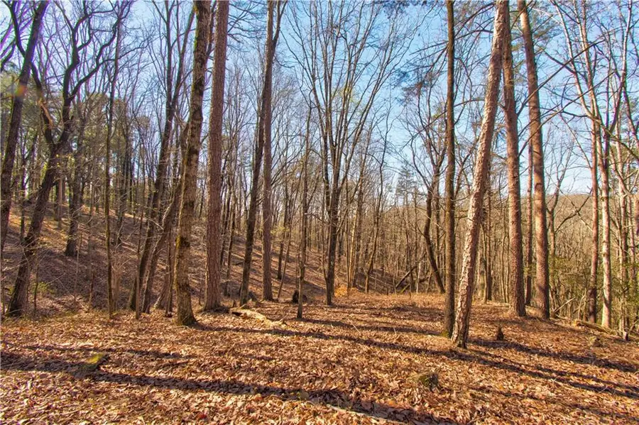 600 Chapman Ridge Lane, Dahlonega, GA 30533 - Image #2