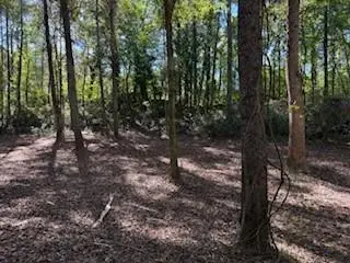 #3