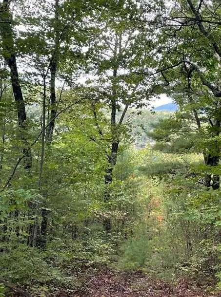 LOT 7 Sequoia Hills Lane, Clayton, GA 30525 - Image #2