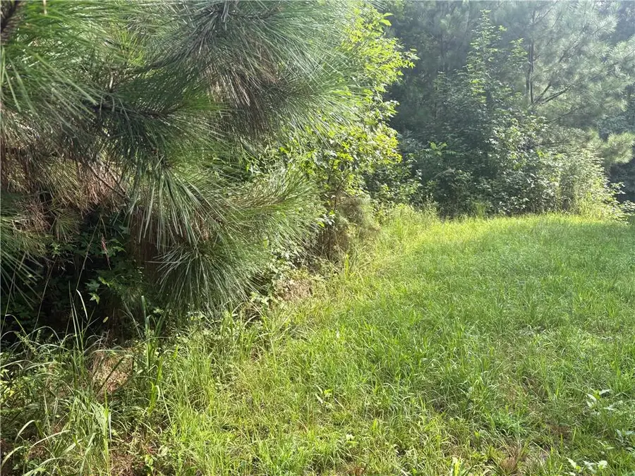 9160 Union Hill Rd, Canton, GA 30115 - Image #3