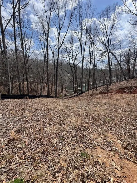 3393 Banks Mountain Drive, Gainesville, GA 30506 - Image #2