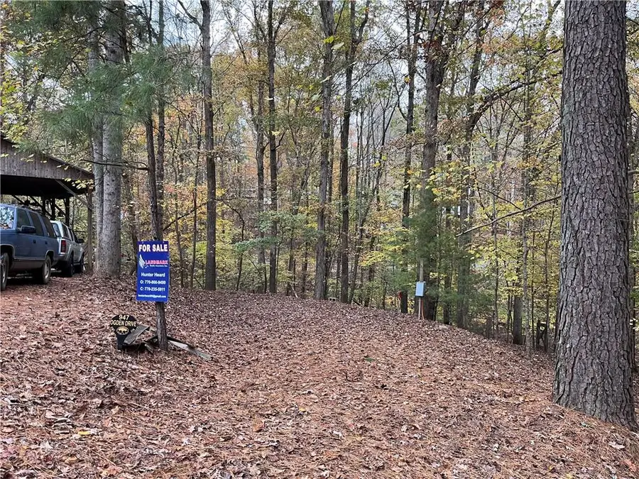 947 Ogden Drive, Ellijay, GA 30540 - Image #2