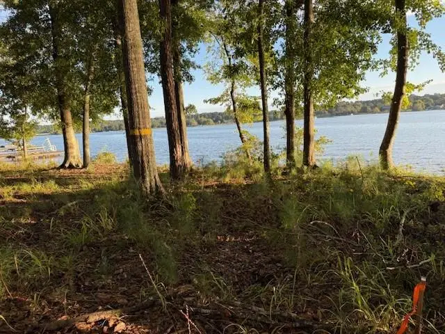 1130 Dockside Drive, Buckhead, GA 30625 - Image #3