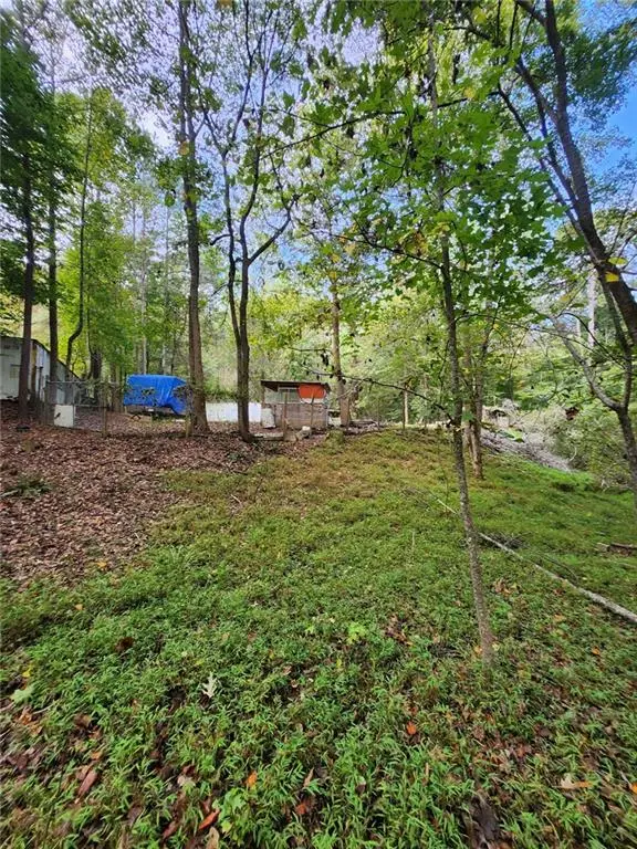 0 Cochran Road, South Fulton, GA 30331 - Image #2