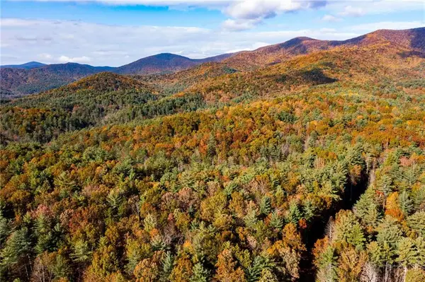 799 Whitecliff Drive, Ellijay, GA 30540