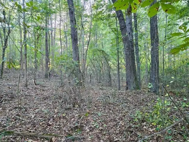 0 Hurt Bridge Road, Cumming, GA 30028 - Image #2