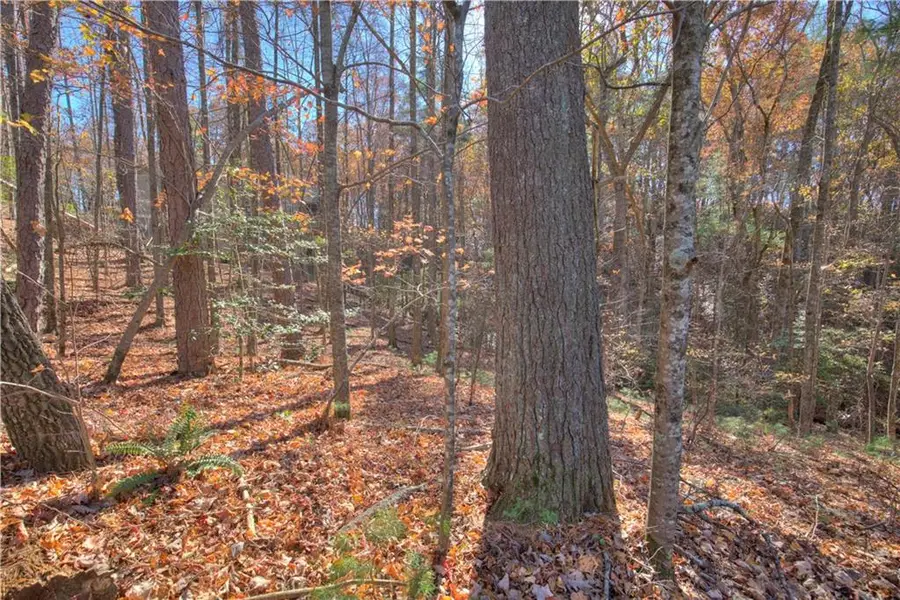 807 Choctaw Pass, Big Canoe, GA 30143 - Image #3