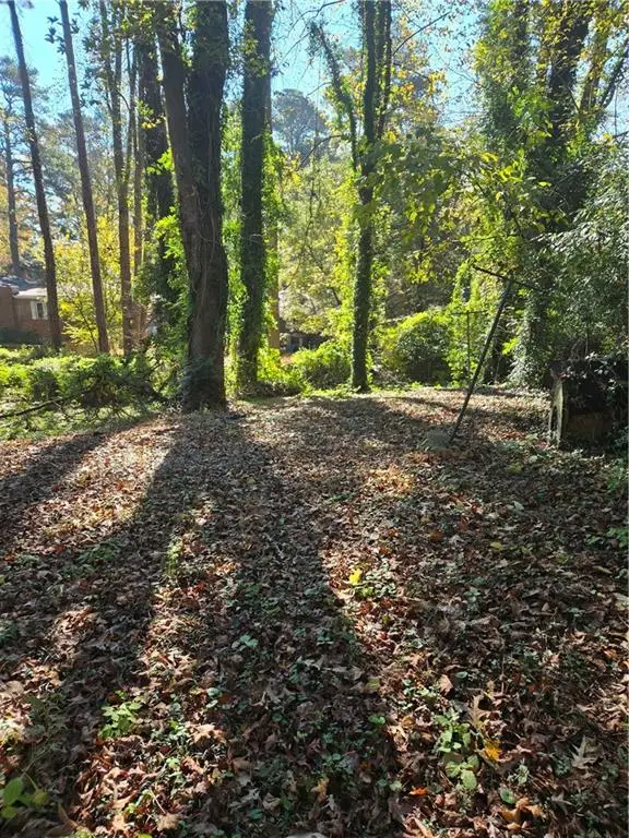 2214 Lilac Lane, Decatur, GA 30032 - Image #3