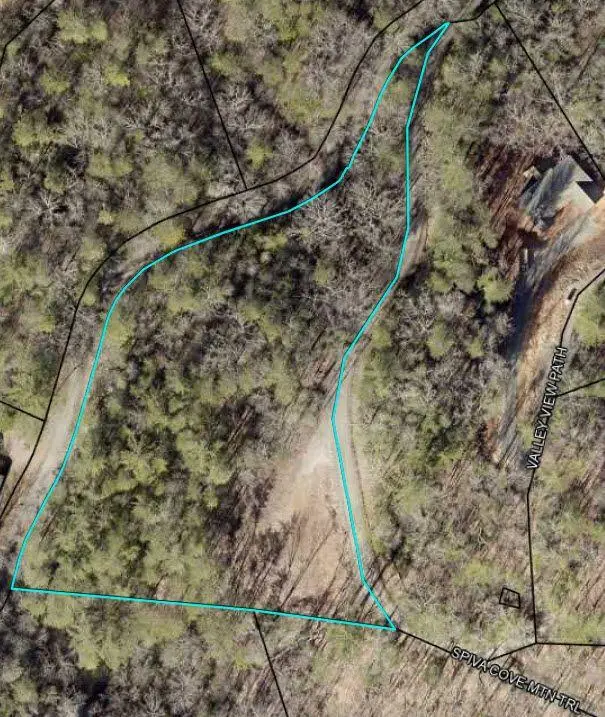 84 Spiva Cove Mtn. Trail, Blairsville, GA 30512 - Image #2