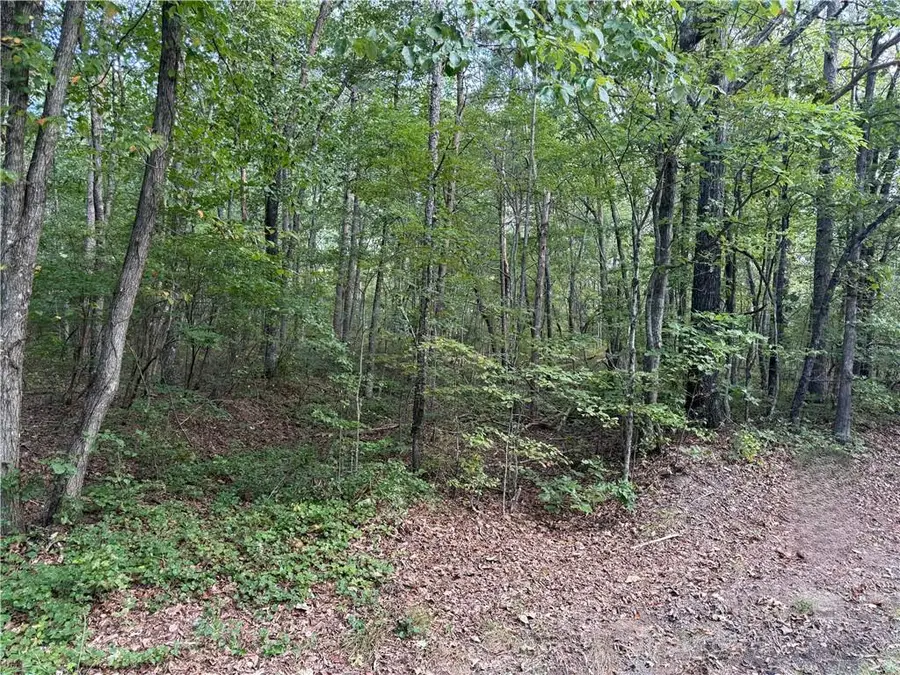 33452 Highway 157, Menlo, GA 30731 - Image #2