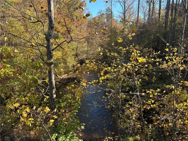 00 Cowart, Dawsonville, GA 30534