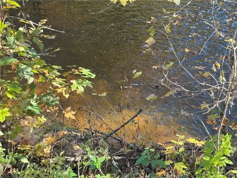 00 Cowart, Dawsonville, GA 30534 - Image #3