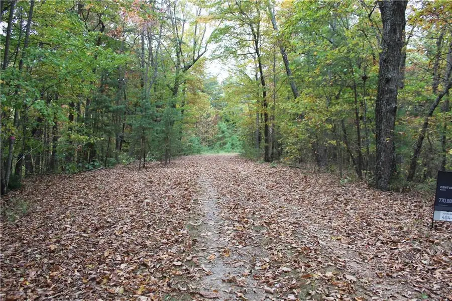 Lot 19 Owl Mountain Road, Ellijay, GA 30540 - Image #2