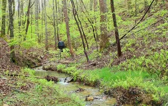 1912 Hightower Road, Cedartown, GA 30125 - Image #2