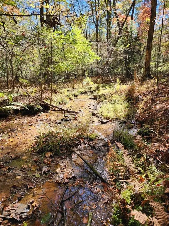 0 Grace Drive, Blue Ridge, GA 30513 - Image #2