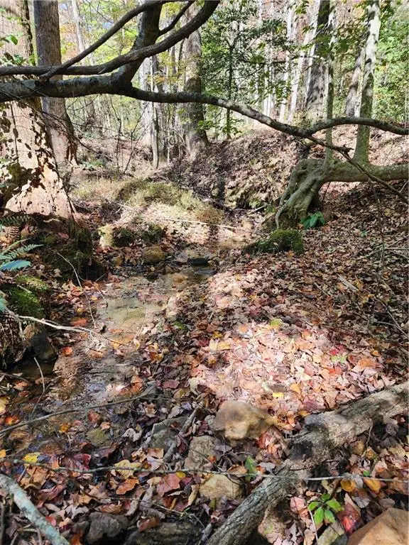 0 Grace Drive, Blue Ridge, GA 30513 - Image #3