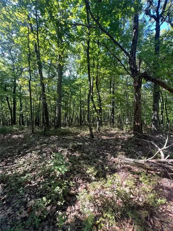 000 Vinson Mountain Road, Rockmart, GA 30153 - Image #3