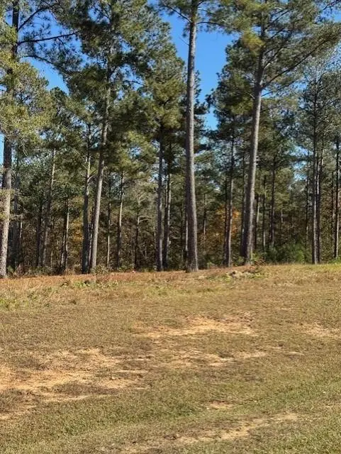 111 Stormy Drive, Eatonton, GA 31024 - Image #2