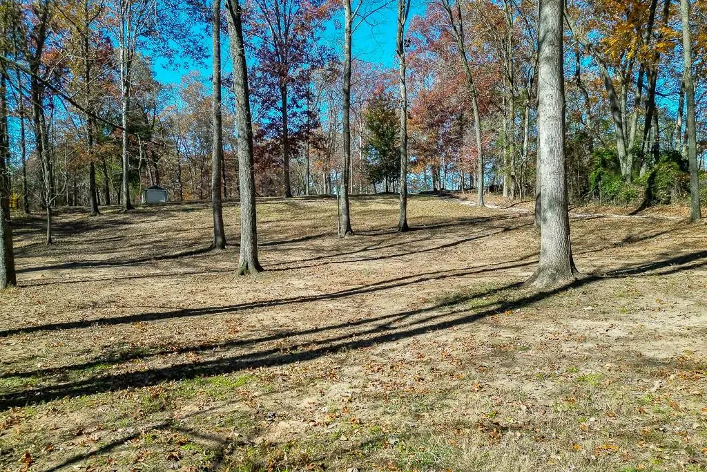 131 Canix Lane, Hoschton, GA 30548 - Image #1