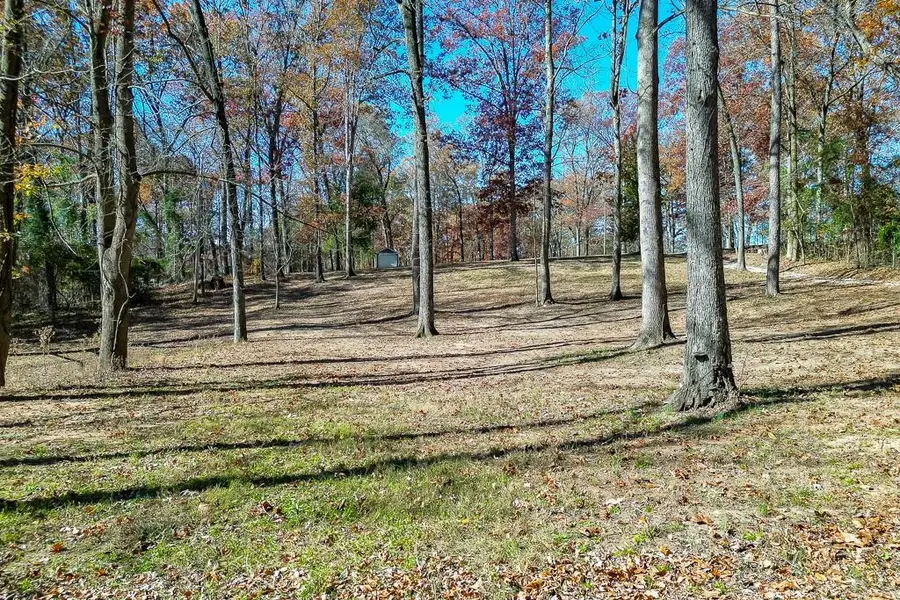 131 Canix Lane, Hoschton, GA 30548 - Image #3