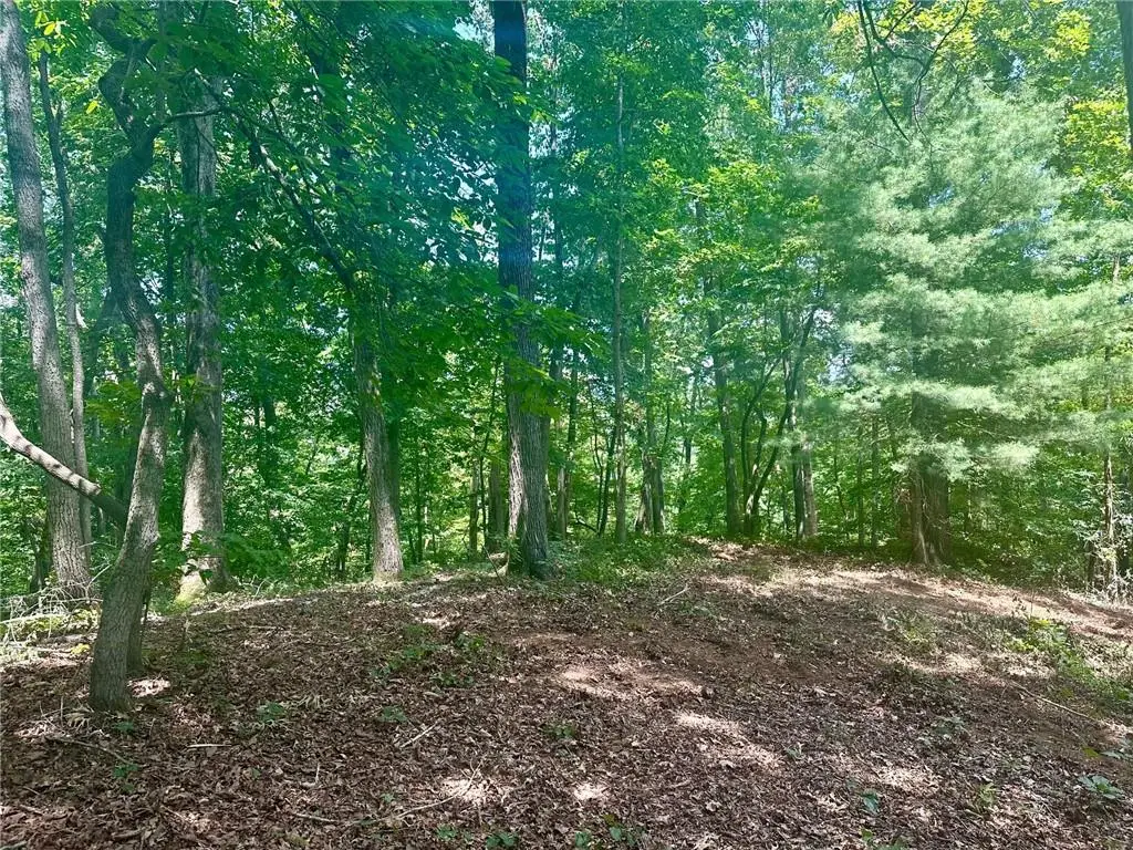 6.2 Mincey Acres Drive, Murrayville, GA 30564 - Image #1