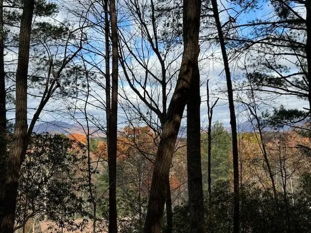 Lot 5 Sweet Apple Lane, Dahlonega, GA 30533 - Image #2