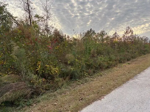 235 Kendall Drive, Griffin, GA 30224