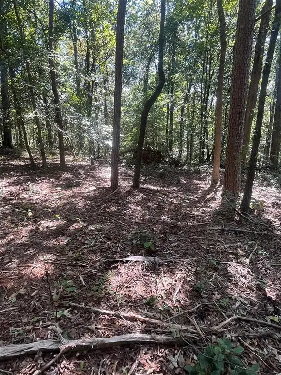 0 Fairview Farms Circle, Lavonia, GA 30553 - Image #1