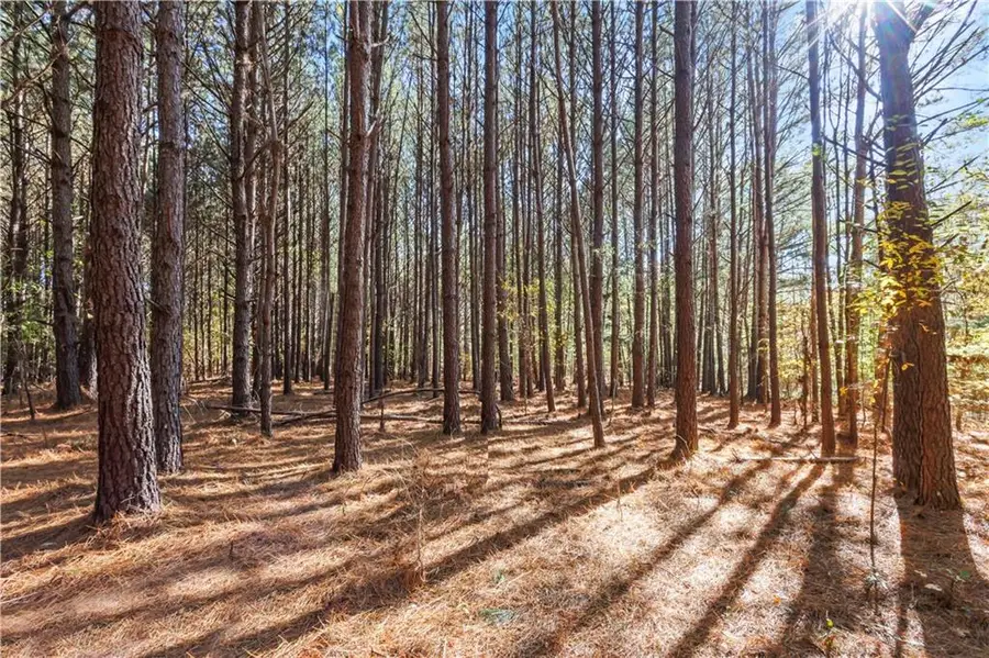 78 Paul Smith Road, Covington, GA 30014 - Image #3