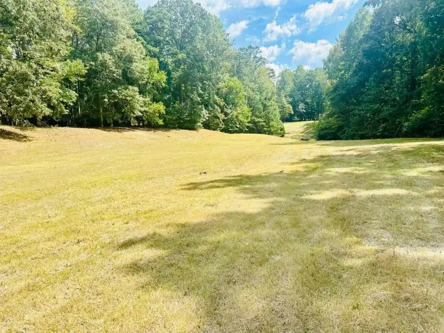 330 Lakeshore Road, Milton, GA 30004 - Image #3