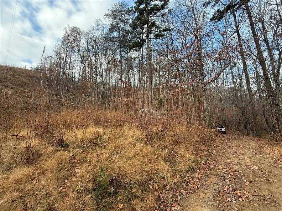 0 Falling Pines Road, Dahlonega, GA 30533 - #2