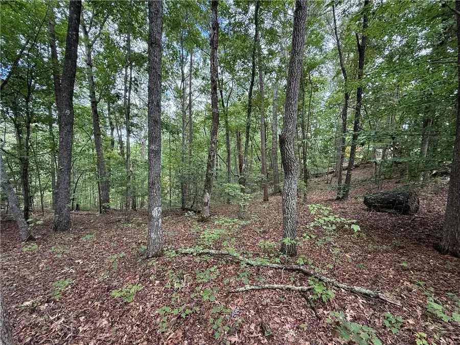 0 Winters Mountain Road, Dahlonega, GA 30533 - Image #2