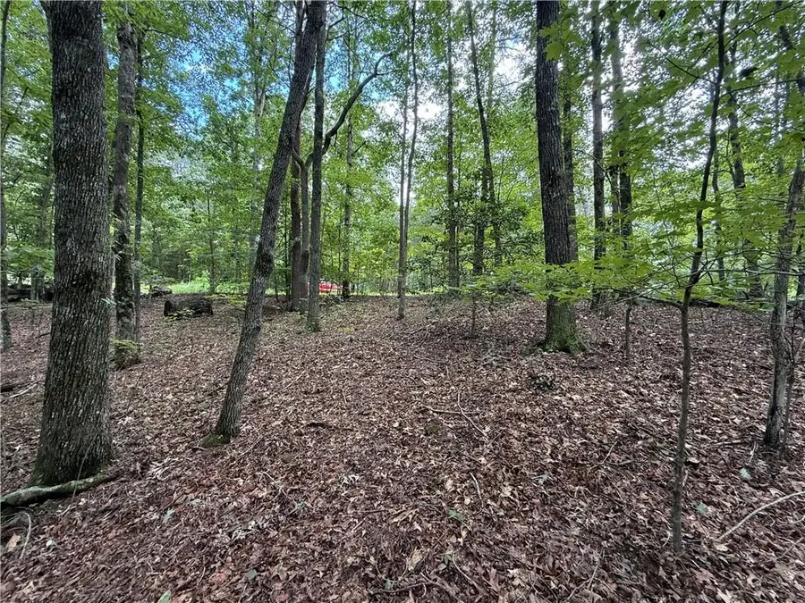 0 Winters Mountain Road, Dahlonega, GA 30533 - Image #3