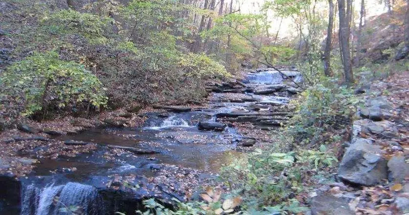 232 Andes Ridge, Ellijay, GA 30540 - #1