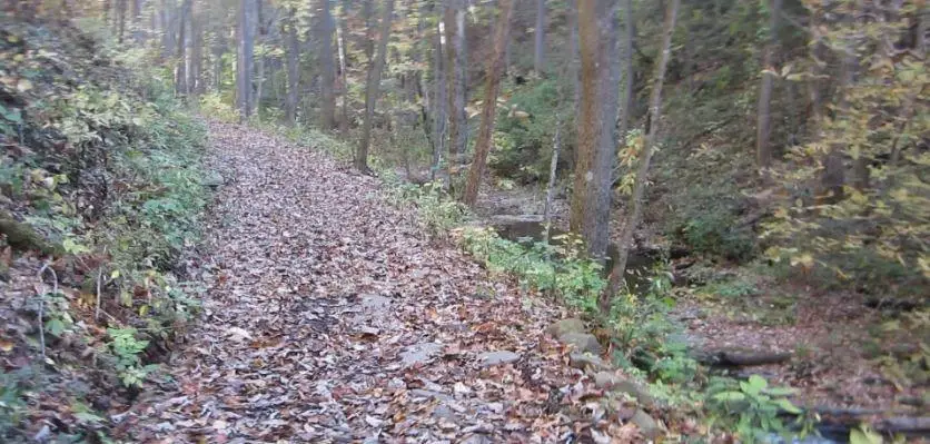 232 Andes Ridge, Ellijay, GA 30540 - #2